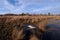 Heathland and pond in the Coquibus hill