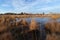 Heathland and pond in the Coquibus hill