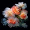 Heavenly Begonia: Delicate Blossoms from a Celestial Realm