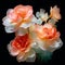 Heavenly Begonia: Delicate Blossoms from a Celestial Realm