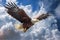 Heavenly encounter, Fish Eagle soars high above the cloudscape