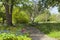 Heavenly Gravel path through spring flowering plants, shrubs