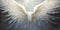 Heavenly Guardian: A Stunning Project of Giant Wings, Halo, and