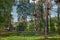 Heavenly Path rope park in the tops of pine trees on the shore of Kratovskoye Lake, family entertainment and recreation: Kratovo,