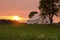 Heavenly sunset over barn