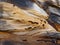 Heavily Eroded Sandstone Patterns on Sydney harbour Cliff