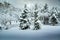 Heavily snow-covered trees in the park