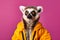 Heavy cheerful ring-tailed lemur anthropomorphic, Generative AI