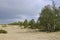 Heavy dark blue with tint of grey clouds in the cold summer sky over  green forest growing in the sand. North