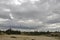 Heavy dark blue with tint of grey clouds in the cold summer sky over  green forest growing in the sand. North