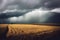 Heavy dark thunder clouds over yellow wheat rye field landscape on summer evening wide angle view. Severe weather, heavy