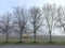 Heavy Earth Moving Equipment in an Open Field on a Foggy Morning