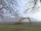 Heavy Earth Moving Equipment in an Open Field on a Foggy Morning