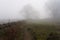 Heavy fog in the fields below Baslow Edge, in the Derbyshire Peak District