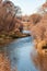 Heavy growth on the banks of the Cache La Poudre River