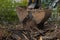 Heavy industrial machine scoop wooden branches and dirt of the ground. Hydraulic shovel lifting wood and waste from the garden