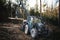 Heavy industrial machinery working in the forest. Harvester in a spruce forest working with logs. Heavy machinery.