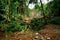 Heavy landslides happened in the Nedumpoyil Ghat in Kerala