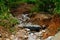 Heavy landslides happened in the Nedumpoyil Ghat in Kerala