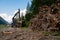 Heavy logging equipment harvesting forest