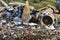 Heavy machinery shredding garbage in an open air landfill. Pollution