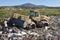 Heavy machinery shredding garbage in an open air landfill. Pollution