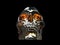 Heavy metal skull with orange glowing eyes - low angle shot