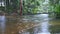 Heavy monsoon rain at a tropical rainforest creek.