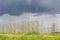 Heavy rain storm clouds wind waves water Oste river Germany