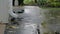 Heavy Rain storm Hitting House Roof and Rain Gutter During Thunderstorm. Slow motion shot