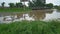 After heavy rains, a farm field was flooded and suffered damage caused by running water