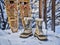 Heavy snow boots and classic wooden snowshoes