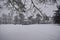 Heavy snow in the park - Pump Rooms Gardens, Leamington Spa, UK - 10 december 2017