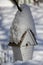 Heavy Snow Stacked up on a Birdhouse Roof