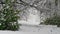 Heavy snowfall on a dense woodland scene