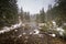 Heavy snowfall at Fish Creek in tatra mountains