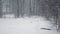 Heavy snowfall at forest. Beautiful winter landscape of snow and blurred trees background. Gently falling snow flakes