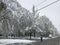 Heavy snowfall hits Chisinau in the middle of spring