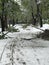 Heavy snowfall hits Chisinau in the middle of spring