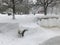 Heavy snowfall hits Chisinau in the middle of spring