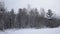 Heavy snowfall over forest and field in northern Norway