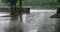 Heavy summer rain beating down on a black tar road and parking lot