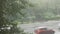 Heavy summer rain pours in the city. In the frame of a green big tree and cars. Autos drive through puddles at high speed spraying