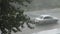 Heavy summer rain pours in the city. In the frame of a green big tree and cars. Autos drive through puddles at high speed spraying