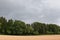 Heavy, thick, thunder, stormy, rainy clouds over the mixed forest with harvested field