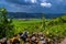 Heavy Thunderclouds Over Vineyards In Wachau Danube Valley In Austria