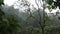 Heavy Tropical Jungle Rain. 4K Slowmotion Natural Footage. Bali, Indonesia.