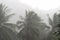 Heavy tropical rain on the coast of Koh Samui