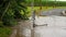 Heavy Tropical Rainfall Causes Flooding Over Creek Road