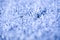 Heavy Winter Frost Background